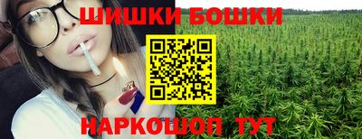 СК Бийск