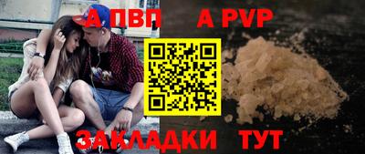 СК Бийск